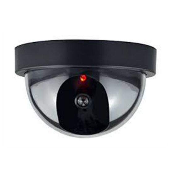 Caydırıcı Kamera Dome resmi