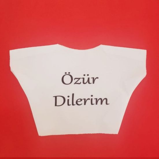 Özür Dilerim Yazılı Peluş Oyuncak Ayı Tişörtü resmi