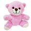 Pembe Peluş Oyuncak Ayıcık  resmi
