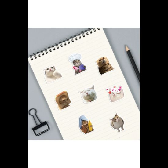  Çılgın Kediler Macbook Notebook Tablet Telefon Ajanda Laptop Defter Sticker Seti resmi