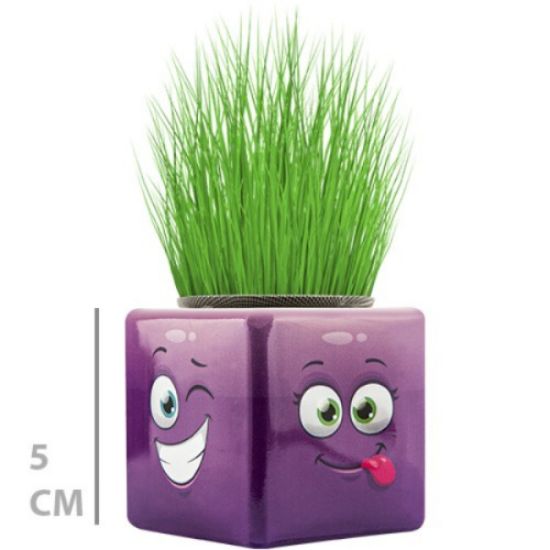 Çim Adam Mini Küp Emoji Figürlü 1 Adet resmi