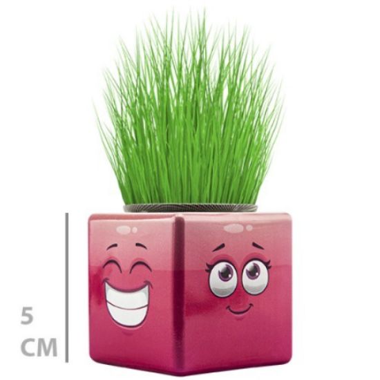 Çim Adam Mini Küp Emoji Figürlü 1 Adet resmi