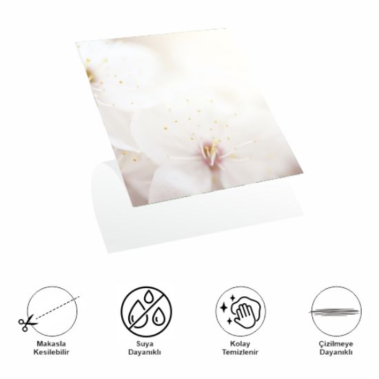 Decohandy 30x30 Cm Pvc Duvar Karosu 4'Lü Paket - Japon Çiçeği resmi