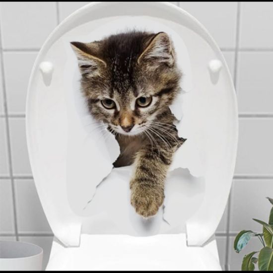 Decohandy Klozet Etiketi Stray Cat resmi