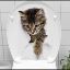 Decohandy Klozet Etiketi Stray Cat resmi