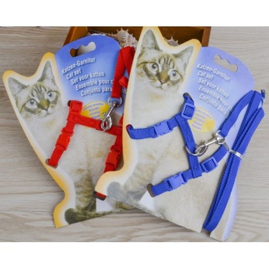 Kedi Tasması resmi