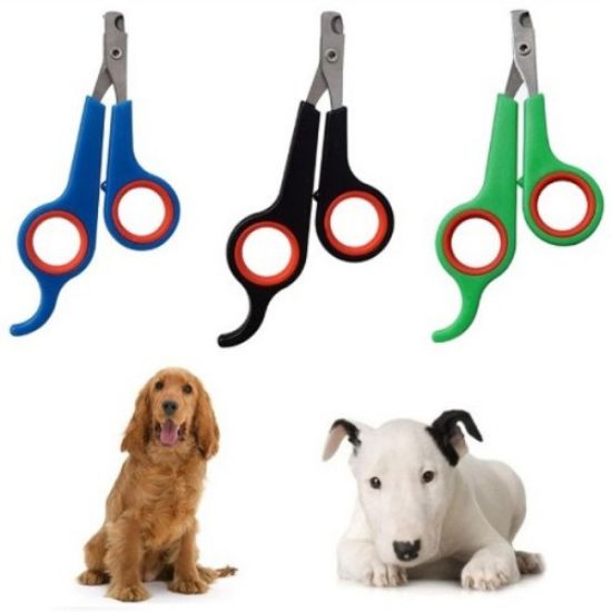 Renkli Kedi Köpek Tırnak Makası resmi