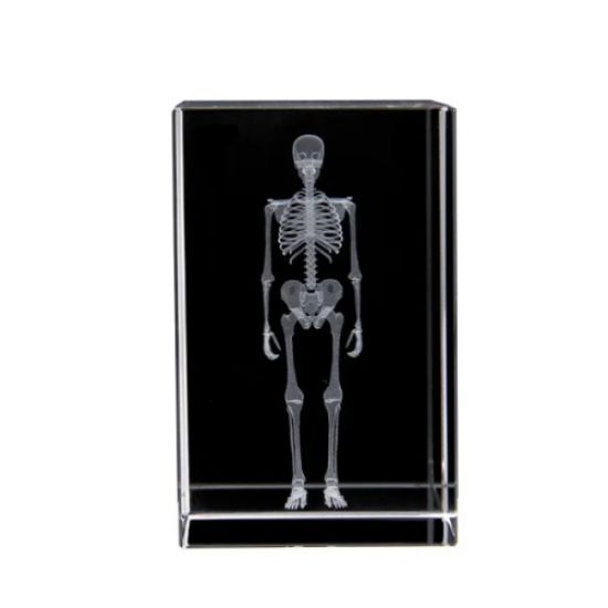 3D Kristal İnsan İskeleti Modeli resmi