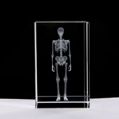 3D Kristal İnsan İskeleti Modeli resmi