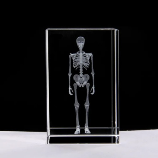 3D Kristal İnsan İskeleti Modeli resmi