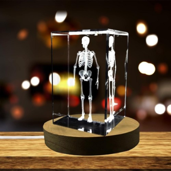 3D Kristal İnsan İskeleti Modeli resmi
