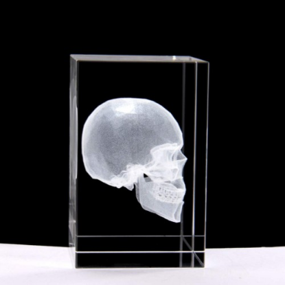 3D Kristal Kafatası Modeli resmi