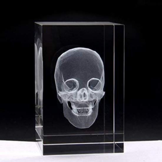 3D Kristal Kafatası Modeli resmi