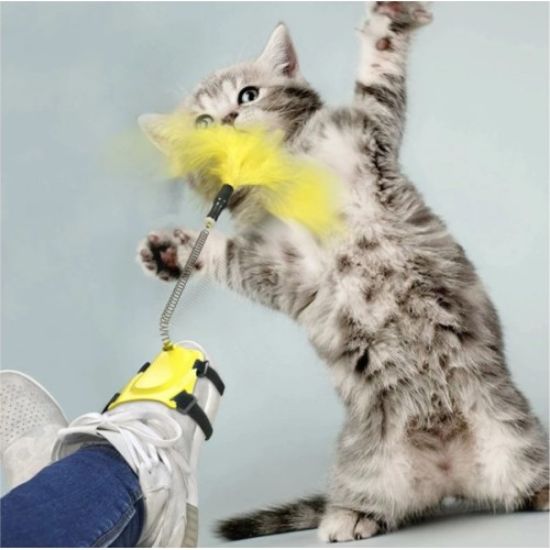 Ayağa Takılan Kedi Oyun Oltası resmi