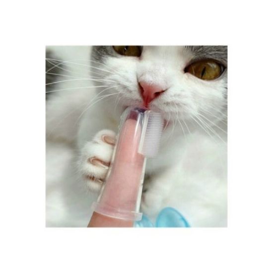 Kedi Köpek Diş Temizleme Fırçası resmi