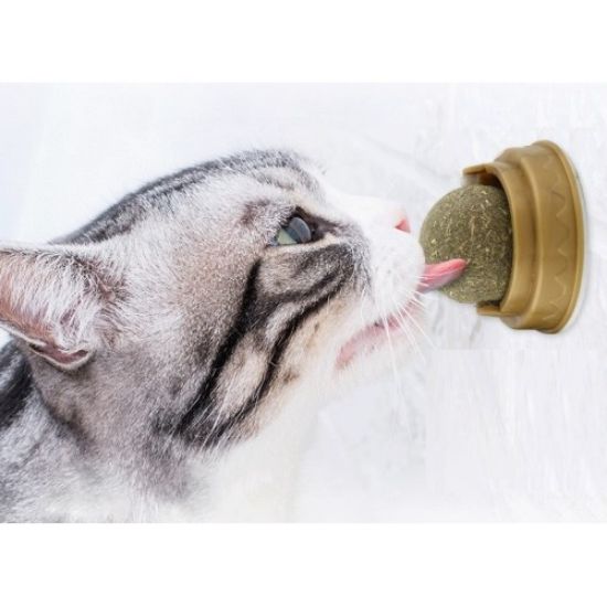 Kedi Otu Oyun Topu Cat Mint resmi