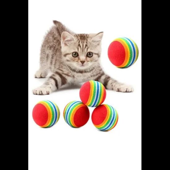 Sünger Kedi Köpek Çiğneme Ve Oyun Topu 4 Adet resmi