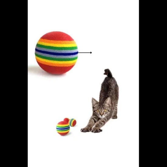 Sünger Kedi Köpek Çiğneme Ve Oyun Topu 4 Adet resmi