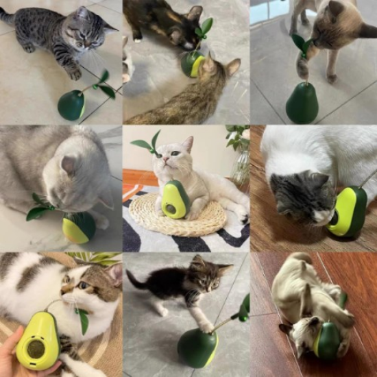 Avokado Şeklinde Kedi Naneli ve Mama Hazneli Kedi Oyuncağı  resmi