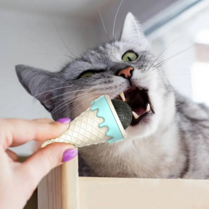 DONDURMA ŞEKLİNDE KEDİ NANESİ KEDİ OTU resmi