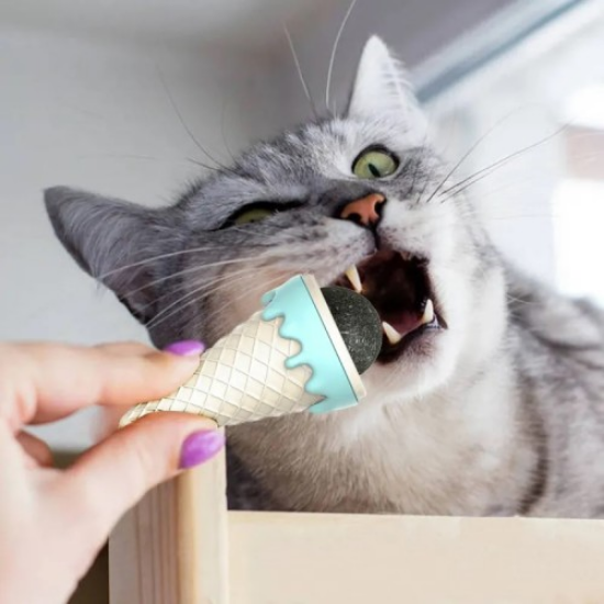 DONDURMA ŞEKLİNDE KEDİ NANESİ KEDİ OTU resmi