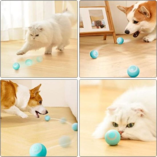 İnteraktif Kedi Köpek Şarjlı Oyun Topu resmi