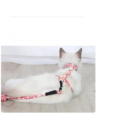 Kedi Gezdirme Göğüs Tasması  resmi