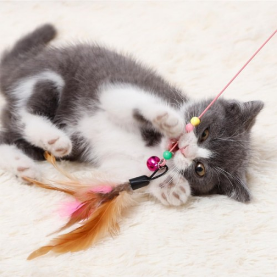 Kedi Oyun Oltası 90 cm resmi