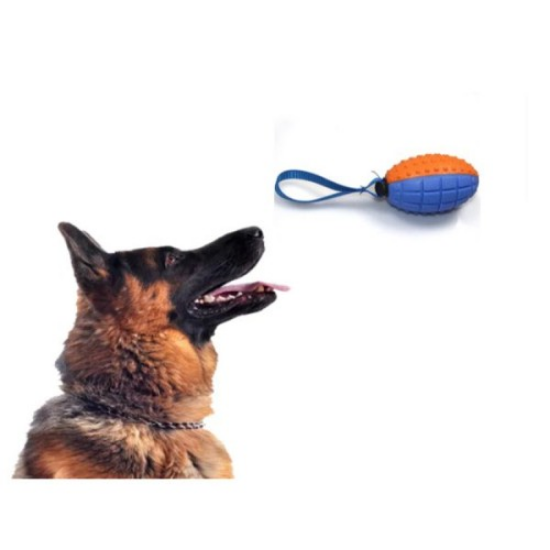 Köpek Diş Kaşıma Oyun Topu resmi
