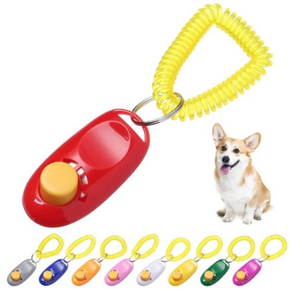 Köpek Eğitimi Clicker  resmi