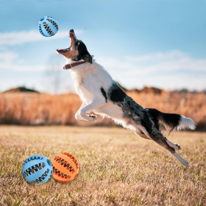 Mama Hazneli Köpek Eğitim Ve Oyun Topu resmi