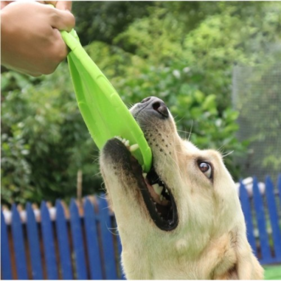 Silikon Frizbi Köpek Oyuncağı  resmi