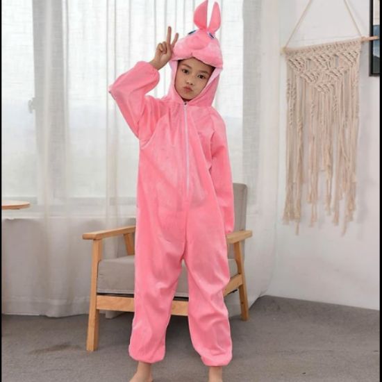 Çocuk Tavşan Kostümü Pembe Renk 4-5 Yaş resmi