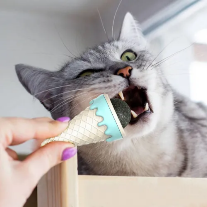 Dondurma Şeklinde Kedi Otu Nanesi resmi
