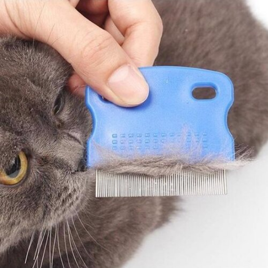 Kedi Köpek İçin Bit Pire Tarağı resmi