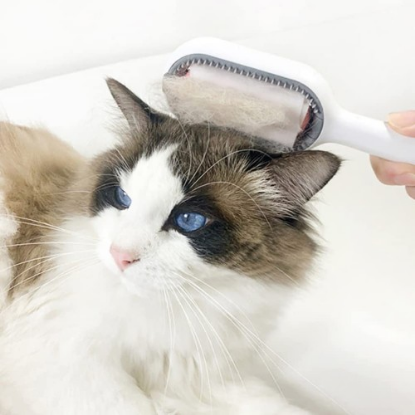 Kedi Köpek Tüy Toplama Tarağı resmi