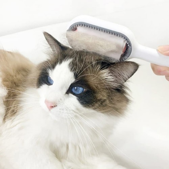Kedi Köpek Tüy Toplama Tarağı resmi