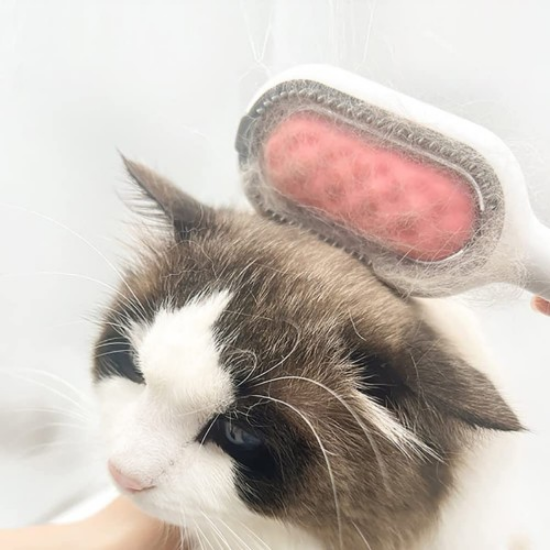 Kedi Köpek Tüy Toplama Tarağı resmi