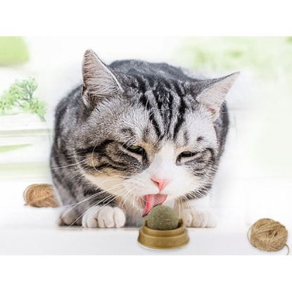 Kedi Otu Oyun Topu Cat Mint resmi
