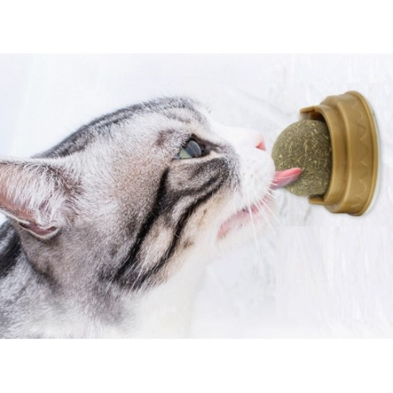 Kedi Otu Oyun Topu Cat Mint resmi