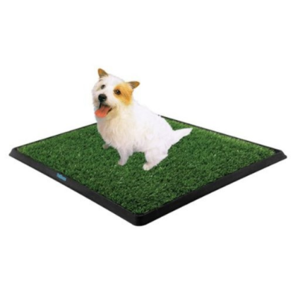 Köpek Tuvalet Eğitim Seti resmi