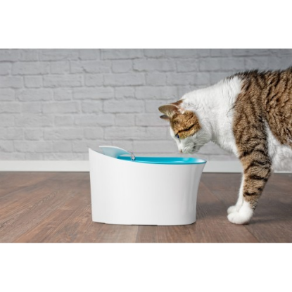 Otomatik Uyarılı Kedi Köpek Su Kabı resmi