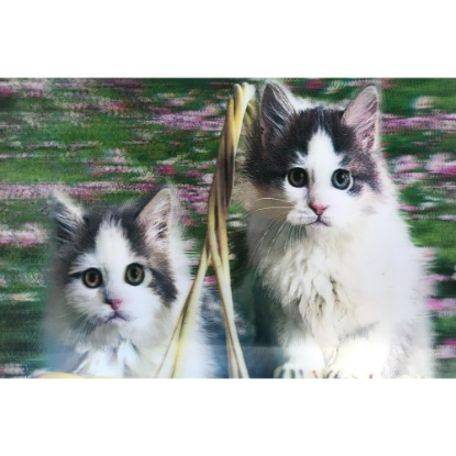 5D Elmas Boyama Kedi Tablosu resmi