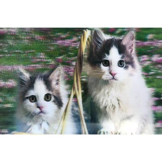 5D Elmas Boyama Kedi Tablosu resmi