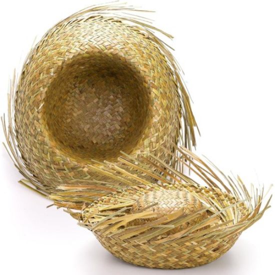 Tropikal Parti Natural Hasır Şapka resmi