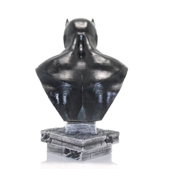 Darth Vader Büst resmi