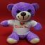 Mor I Love You Tişörtlü Peluş Ayıcık resmi