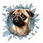 Fulcar French Bulldog Araç Stickerı resmi