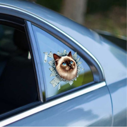 Fulcar Siamesse Araç Stickerı resmi