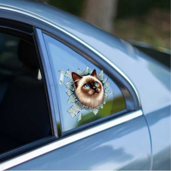 Fulcar Siamesse Araç Stickerı resmi
